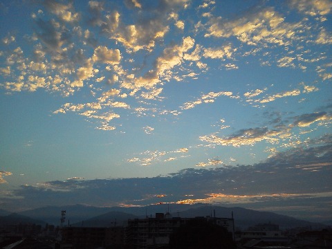 今朝は久しぶりに，青空に浮かぶ朝焼け雲がきれいでした．