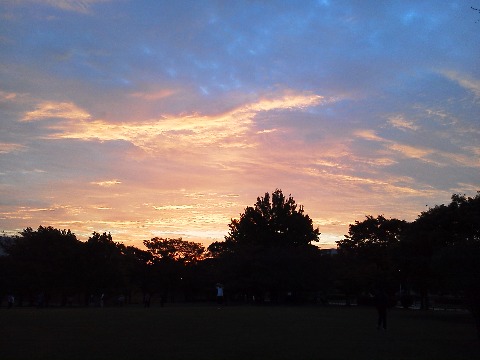 この写真は，今朝春日公園に着いたAM６：２５頃の空です．広島や関西・関東ではもっと早く夜が明けているんでしょうね．