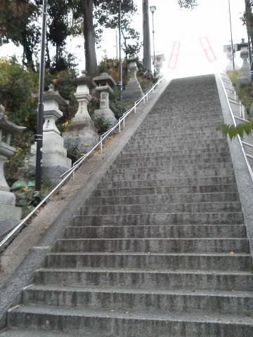 ここは仁保姫神社の階段です．お宮の再建で，この階段の高さも以前の三分の二くらいになってしまいました．大昔の元の高さの時に，ここをお神輿をかついで駈け上がったことがあります．