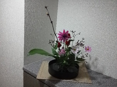 玄関のお花は，ダリア，コスモス，他諸々．熊本のJAはお花も安くて，これだけで200円也だそうです．