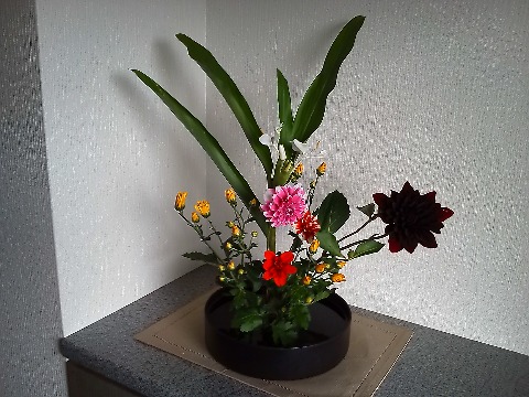 写真は今の玄関のお花です．今回も材料費は230円と格安，さすが熊本のJAです．
