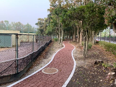 さてこんなレンガ風の遊歩道が、テニスコートと外周の間に新しく出来ています。　なかなかオシャレですよね。