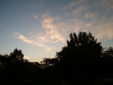 夜明けがどんどん遅くなってきているので、同じ時刻に見える景色も変わります。今朝はこんな朝日に輝く雲が見られました。