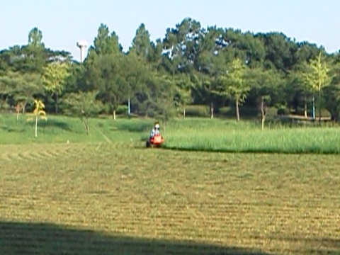 今朝は公園内の別の広場で草刈りが進んでいて，今回は草刈りマシンを写せました．こちらは，先日の場所よりさらに草が伸びていて大変でしょう．お疲れさまです．