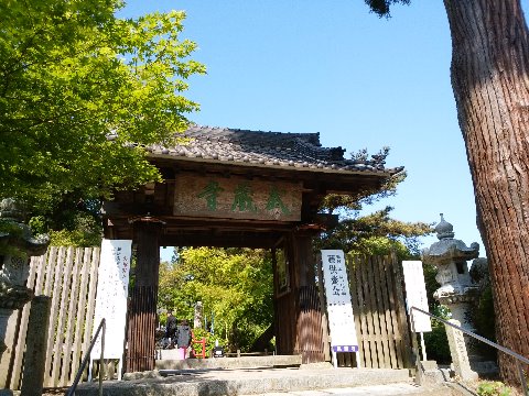 武蔵寺の山門です。最初はこれで「ぶぞうじ」？「むさしでら」でしょう！と思っていましたが、もう大丈夫です･･･