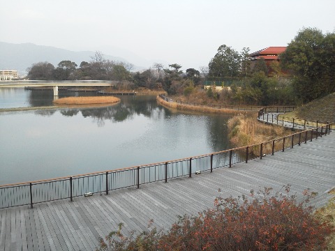 こんな湖畔デッキや向こうに見える池を渡る橋も通りました．