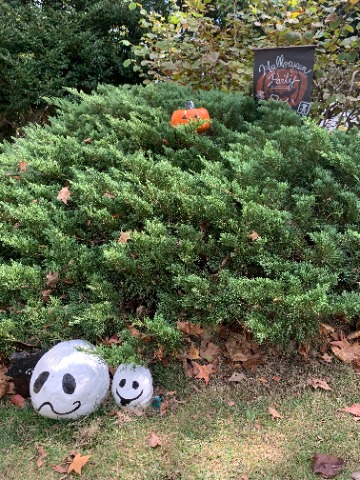 その前に来週にはハロウィン。　公園のあちこちにこんなフォトスポットができています。