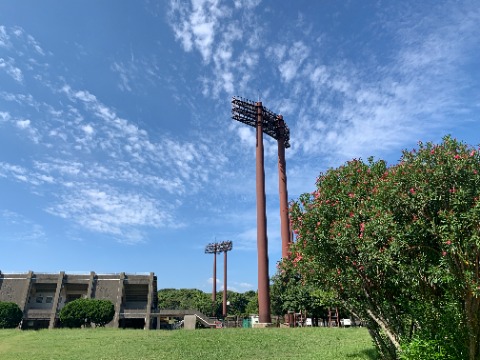 雲がずいぶん高くなって、空はもう秋支度ができているようです。