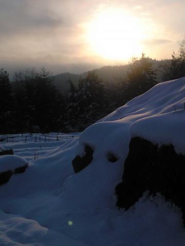 気が付いたら太陽が出ていた。