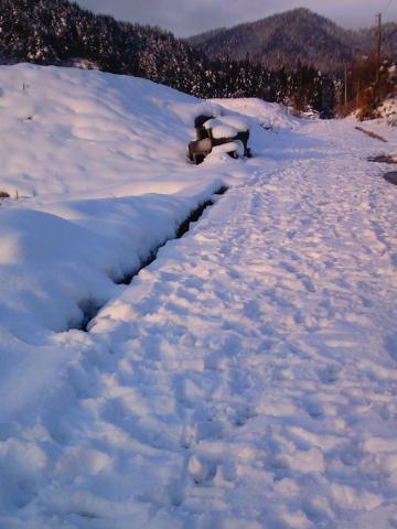 途中から完全雪道、この後登りで、更に誰も踏んだ跡がなくなり、走れずに歩きとなる。