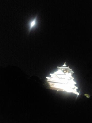 夜の大阪城)^o^(