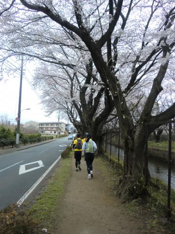 立川あたり、こんな感じの未舗装の道が延々最後まで続きます。