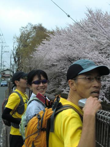 途中で、桜の見事さに見惚れる面々。但し、カメラ目線が１名。やはり、カメラを向けられると女優魂に火がつくのか？