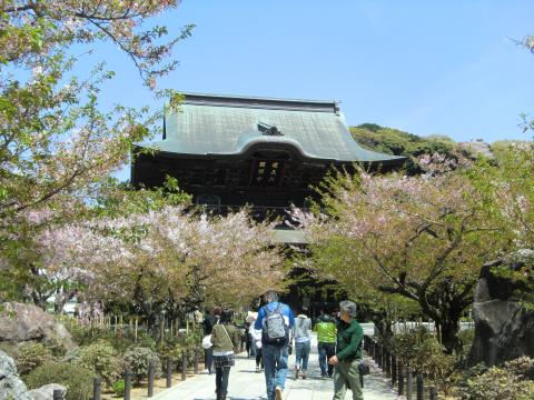 建長寺を抜けて～