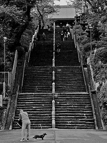 本門寺さんの階段。