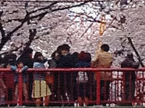 桜坂の花見客。子供が退屈そう。　※iPhoneのズームで撮ったため画質が荒く、エフェクトでごまかしました。