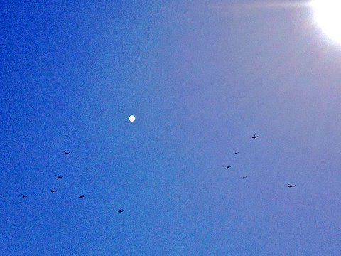 自衛隊または消防庁または米軍のヘリコプターの編隊。川崎・横浜方面に向けて飛行中。　逆光だったので、スマホの画面では機影が全く確認できず、太陽の位置を参考にして「エイヤ！」と撮りました。