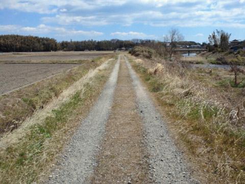 ｢2.5km地点｣
典型的な農道｡ わだちを避けて真ん中を走るとフカフカで足にも優しい｡