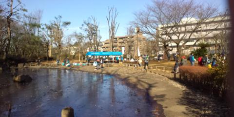大会受付
西河原公園の池には薄氷が張ってました