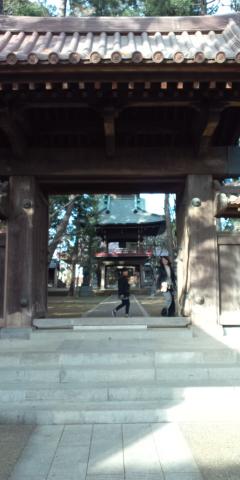 狛江で初詣といえば泉龍寺
それにしても空いてるなあ・・・