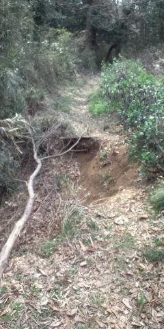恵泉女学園前で、舗装路から一本奥へ入ってみた
すると、土砂崩れの痕が・・・結局通ったけど