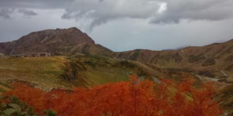 ダケカンバの紅葉と室堂
向こうに富山湾(魚津方面)が見えています