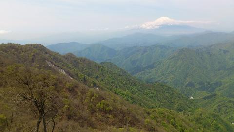檜洞丸（1601m）から西側の景色
新緑のグラデーションが見事
富士の裾野に山中湖がちらり