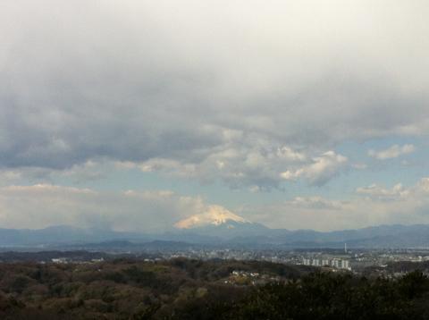 富士山も綺麗に見えました。