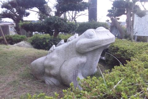 フィッシングセンターにこんな蛙さんがいた。