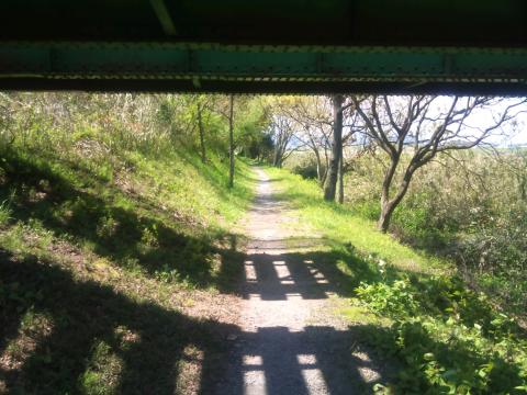 線路の真下。枕木と線路の影が見える。川沿いに走るにはちょうどよい小路があった。