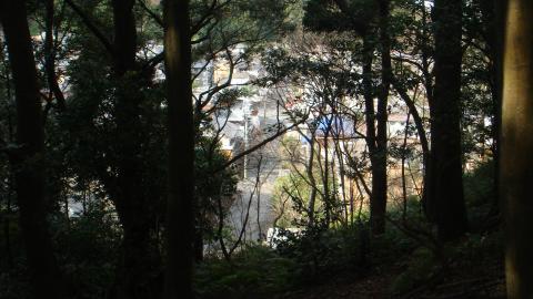 木々の間から住宅の屋根が見えてきた。
確認したら、千寿台の隣の滝倉団地だった。