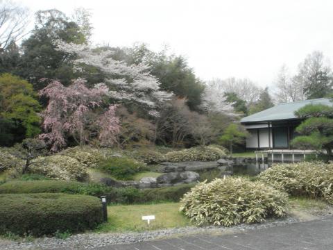 徴古館と同じ敷地にある美術館の庭園