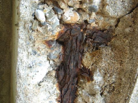茶色の部分は木ではない。錆びた鉄筋だ。コンクリートは中性化し表面は崩壊しかけている。