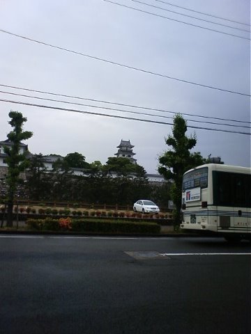バスの後部を撮ったのではありません。奥のほうに小さく写っているでしょう、今治城が。