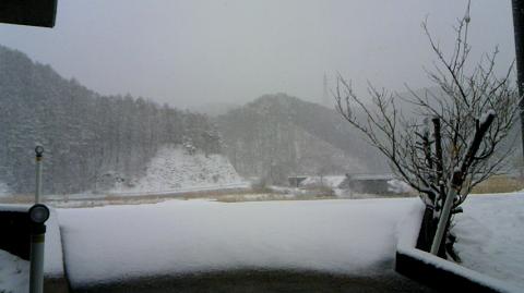 45キロ付近、南村村役場からの風景。雪がしんしんと降っていますが、残念ながら写りませんでした。