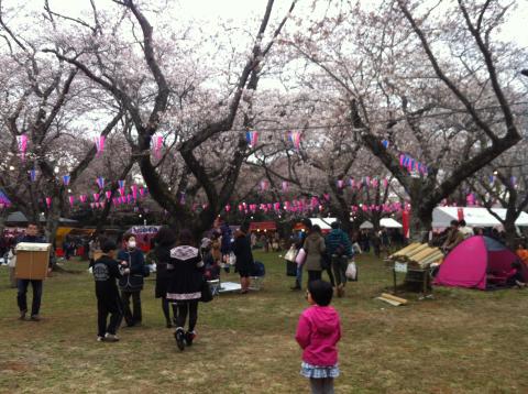 布施弁天となりのあけぼの山公園　桜祭り会場