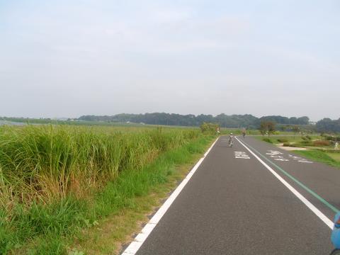 ２２．整備された緑道が約５キロ続きます。（写真左側が自転車優先、右側が歩行者、ランナー優先）