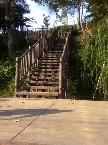 「今日はこの階段で足腰きたえるもん」（はなさん紙芝居風）
この階段＆公園何周しようかな？１０周目標じゃ！