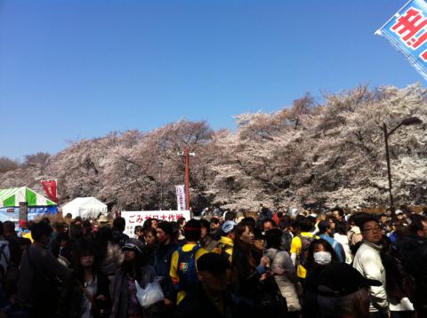 小金井公園　桜祭り
凄い人混み・・。