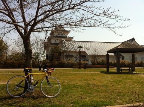 関宿城
桜はまだ・・。