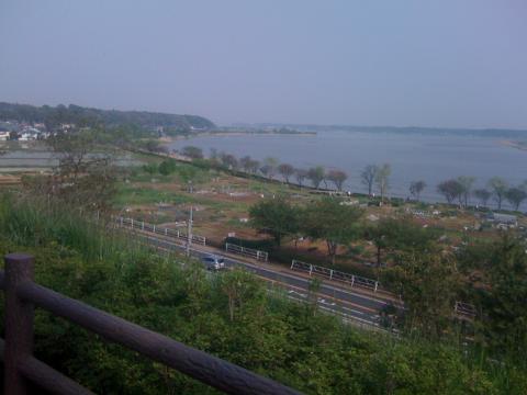 高台の公園から手賀沼東側の眺望