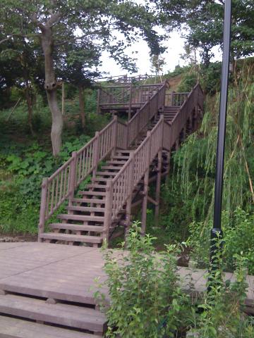 この階段を上ると、高野山桃山公園。この階段を上り下りしたら筋力つくんでしょうが、追い込む練習嫌いなのでやれません＾＾；
