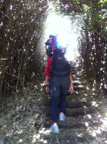 竹やぶトンネル階段
