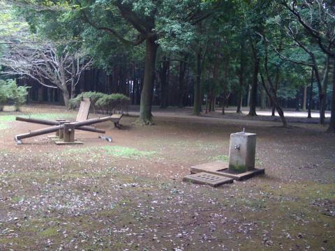 五本松公園は夏場でも涼しい。プチトレイル！