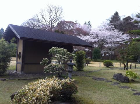 あけぼの山公園：日本庭園