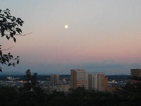 千秋公園から 月を望む