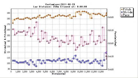 全体的にペースは上がり気味。
しかしストライドは全体的に全く変わらず約１１５ｂｐｍで横ばい。
その分ピッチが、１８０ｃｍ→１９０ｃｍへ大きくなっている。