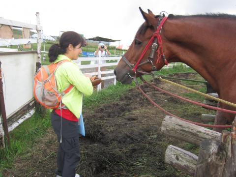 昼、観光で訪れた霧ヶ峰で、馬のえさやりなどしてみた。にんじん、本当に好きなんだね～。この子にあげてると、隣の馬が怒ってしょうがない・・・。