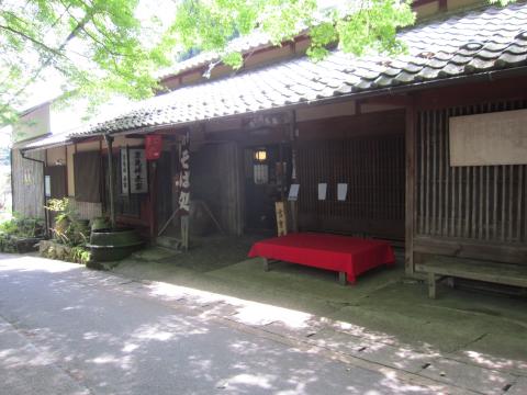 京見峠の茶屋。青いもみじがきれいだ～。