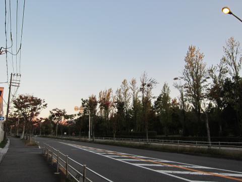 朝の散歩run＋坂6本6.5km
